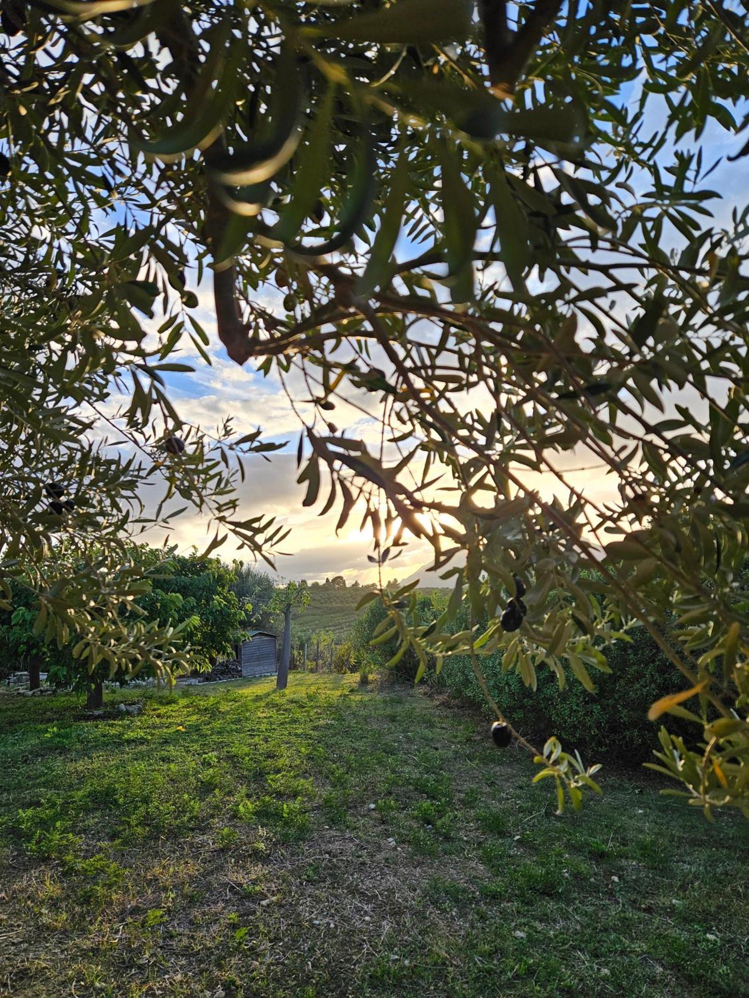Villa del Carrubo a due passi dal mare di Cefalù Collesano Esterno foto