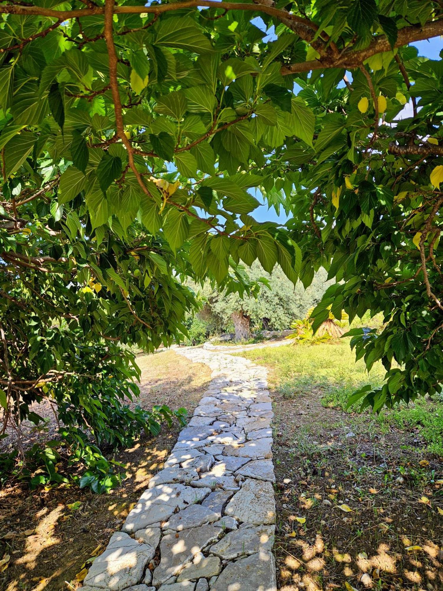 Villa del Carrubo a due passi dal mare di Cefalù Collesano Esterno foto