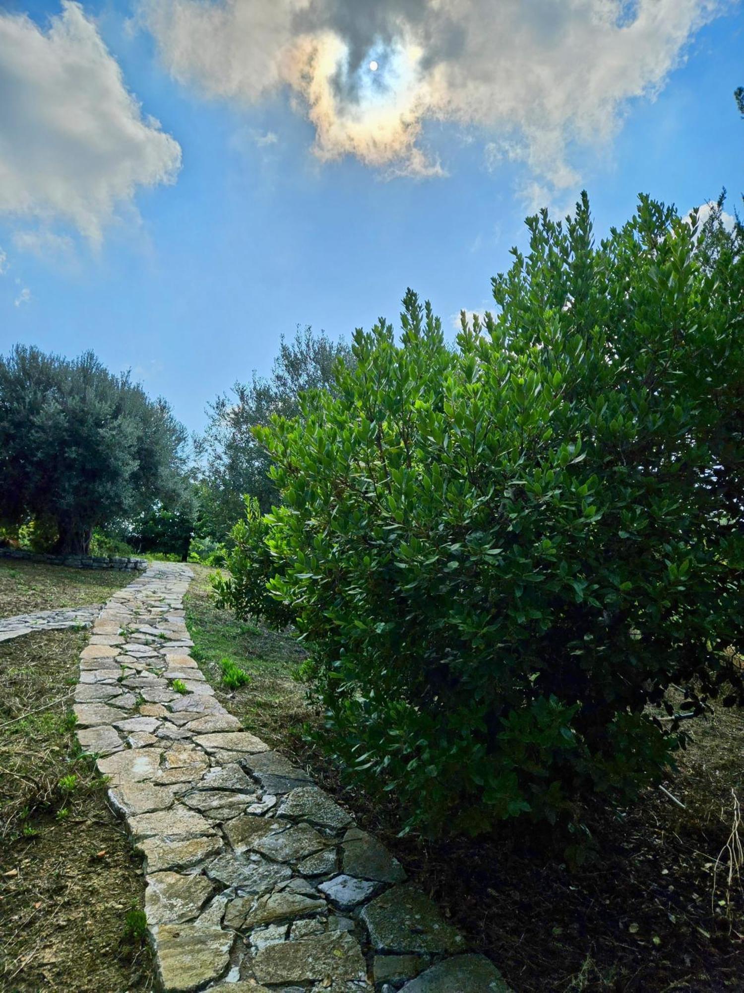 Villa del Carrubo a due passi dal mare di Cefalù Collesano Esterno foto